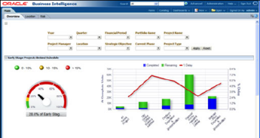 Screenshot: Primavera P6 Analytics